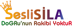 SesliSila.Com, SesliChat, SesliSohbet, SesliSiteler